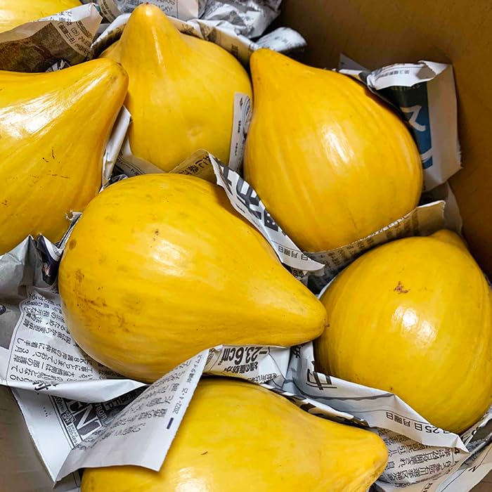 Amazon.co.jp: カニステル 約3kg 南国の不思議な果物（エッグフルーツ
